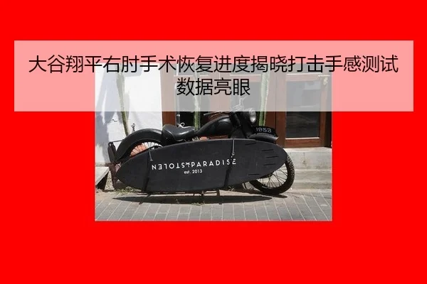 da-gu-xiang-ping-you-zhou-shou-shu-hui-fu-jin-du-jie-xiao-da-ji-shou-gan-ce-shi-shu-ju-liang-yan-3-374.jpg