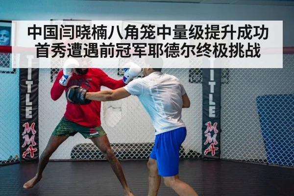 UFC cage fight